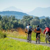 Radfahren auf dem Rheindamm in Ruggell