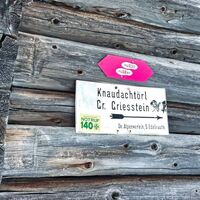 Bei der Mödringhütte wandern wir noch ein Stück weiter bis zur Mödringalm