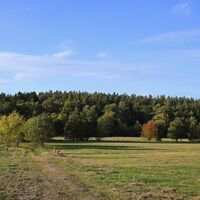 In der Göhrde