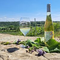 792.81 - 09.12.2024 - JOOS - Kräuter und Wein_ Weinflasche und Kräuter - Tanja Müller-Heinrich - Bil