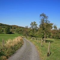 Streuobstwiese-Rosenau