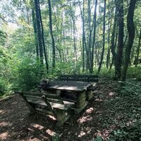 Rastplatz im Wald_Weiz_Oststeiermark