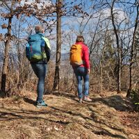 Idyllischer Wanderweg am Rücken