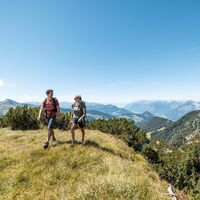Wandern Richtung Gratlspitze übers Hösljoch