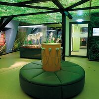 Haus der Natur | Ausstellung