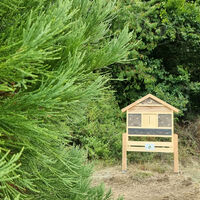 Insektenhotel am Fabelweg Tanzplatz