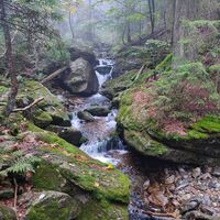 Mystische Stimmung im Abstieg am Schwellbach