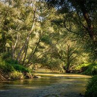 Fluss Raab