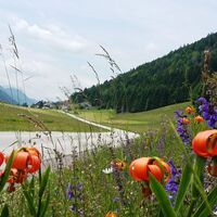 Sommer in Zell