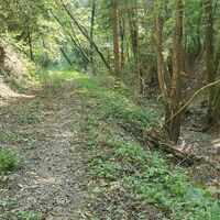 Schöne Abfahrt am Plankenbach
