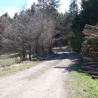 am Rückweg