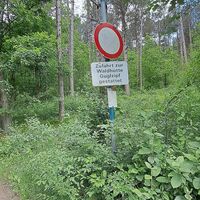 Aufstieg zum Guglzipf