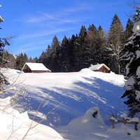 Schneeschuhtour Brünigpass-Ober Brünig-Lungern