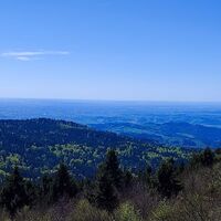 Aussichtsturmaussicht zum Schopf und dahinter das Donautal