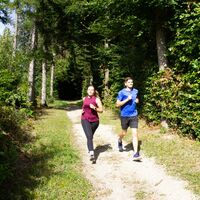 jogging_wald