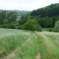 Pfälzer Bergland