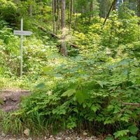 Der Weg zurück