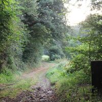 Weg durch das Holzbachtal