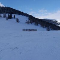 Ochsenrunde_Blick Richtung Ochsenstand