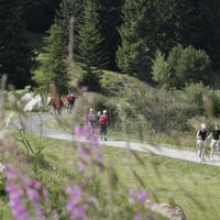 Entlang des Heidsee zurück nach Lenzerheide