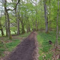 Landschaft