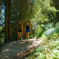 Wandern auf der Panoramaallee