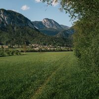 88 - laufrunde-woerschach-enns-20 © Christoph Lukas (2025-06).jpg