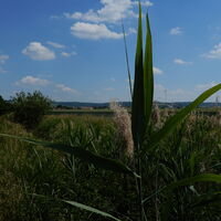 Alberndorf - Patzmannsdorf