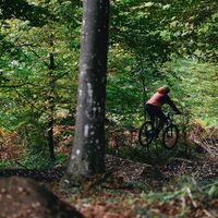 Parthy Trail T70 - Ossiacher See