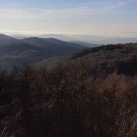 Blick nach Neulengbach Buchbergwarte