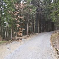 Gerade zur Burg (nicht über Schütt)