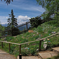 Alpengarten auf der Villacher Alpe - im Hintergrund die westlichen Karawanken
