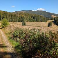 Bernau im Schwarzwald Zu den Glanzpunkten über dem Hochtal (3)