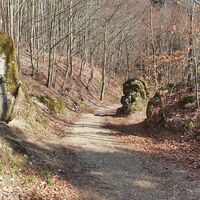 35.7 km Schöne Forststraße