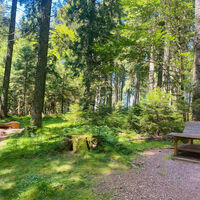 Relax-Liegen im Struwewald