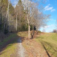 23.4 km Anstieg Windhagberg