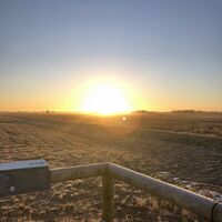 Sonnenaufgang Fehndorfer Moor