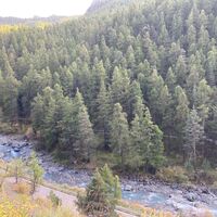 Fluss Ripa von oben - Cesana T.se