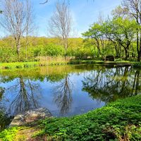 Ein schöner Teich