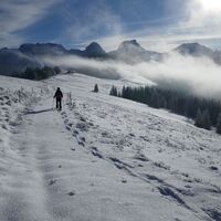 Schneeschuhtrail Obergurnigel (114)