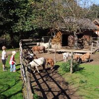 Tierfarm Schildberger