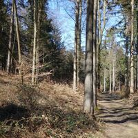 Abstieg Richtung Heiglhütte