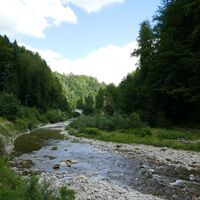 Schwarzwasserbrücke - Schwarzwasser-Sense-Schluchtenweg Etappe 2