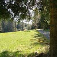 Zwischen Wegespinne und Sieglitzmühle