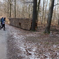 am Holzweg nach der Hengelwand