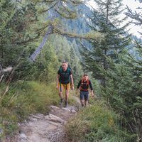 Scheffau_Weg Nr. 827_Hochegg_Wilder Kaiser