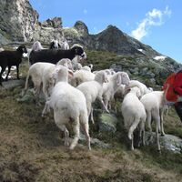 Breitlahnhütte - Preintalerhütte