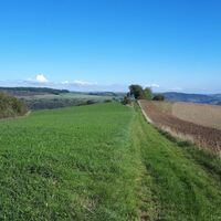 Weitblick zwischen Meisenheim und Lauterecken