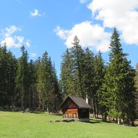 Rohrbachgraben -- Bodenwiese auf der Gahns