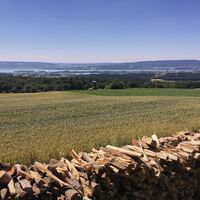 Aussicht am Mühlsberg
